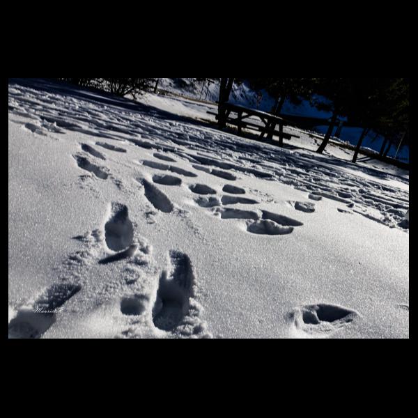 PHOTO84, CLUB, 84 , LUBERON